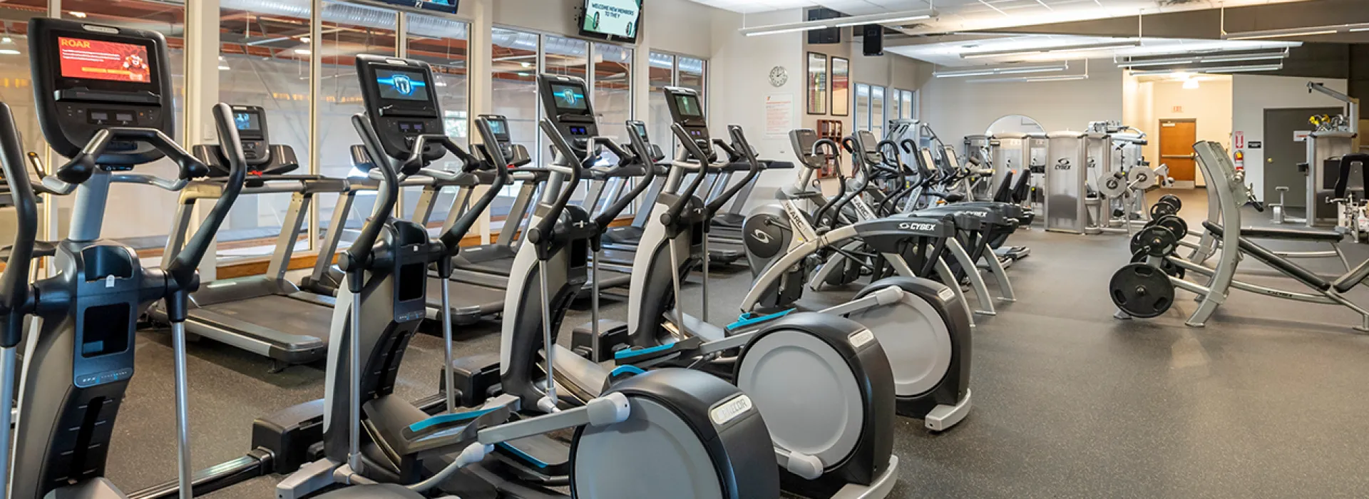 Ellipticals lined up