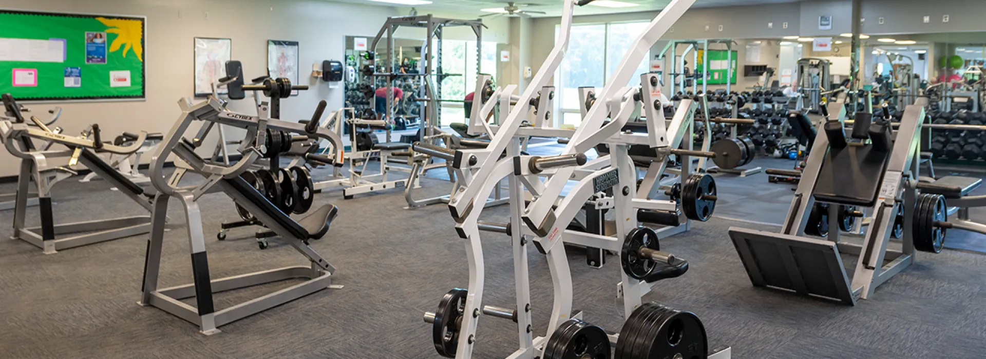 Strength equipment on the wellness floor